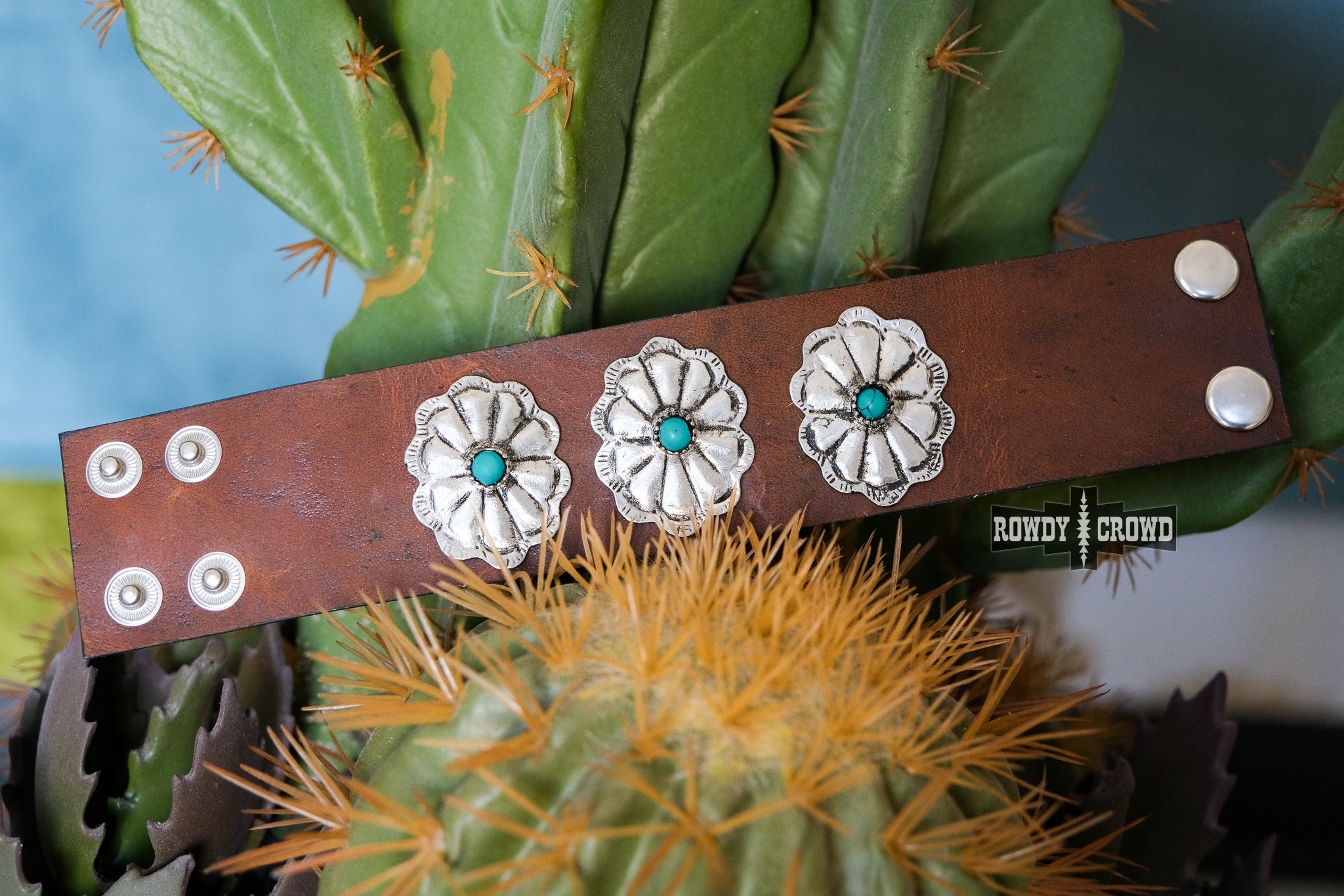 Cisco Cuff